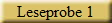 Leseprobe 1